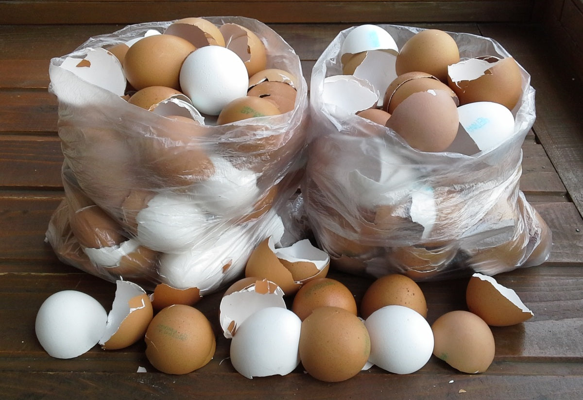 Τσόφλι Αυγού: Ένας Αξιοποιήσιμος Φυσικός Πόρος για το Σπίτι και τον Κήπο